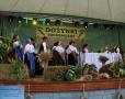 Dożynki 2012 cz. 1 - Foto 73