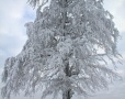 II Memoriał Rycha Grenia - Foto 21