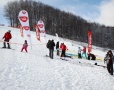 Puchar Radia Zet w Dolinie Leśnicy - Foto 22