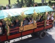 Dożynki - korowód - Foto 17