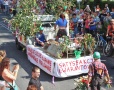 Dożynki - korowód - Foto 37