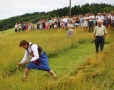 Mistrzostwa Górali Karpackich w Koszeniu Łąki - Foto 22