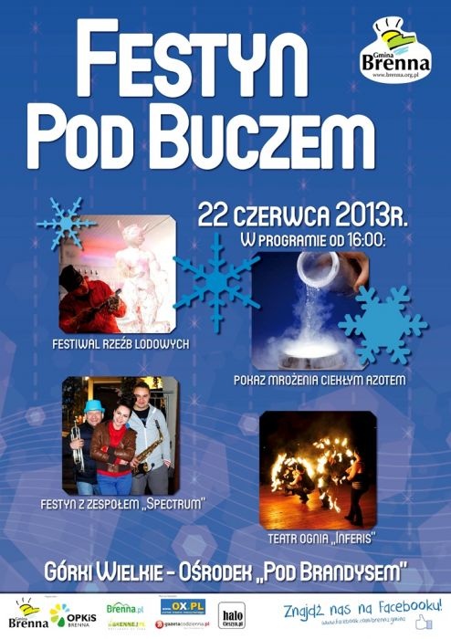 Plakat - Festyn