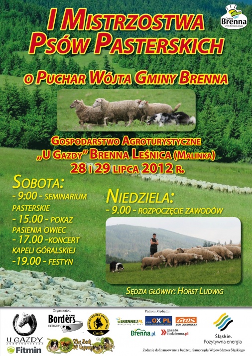 Plakat - Mistrzostwa Psów Pasterskich o Puchar Wójta