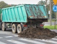 "Gnojowisko" na przejściu dla pieszych - Foto 1